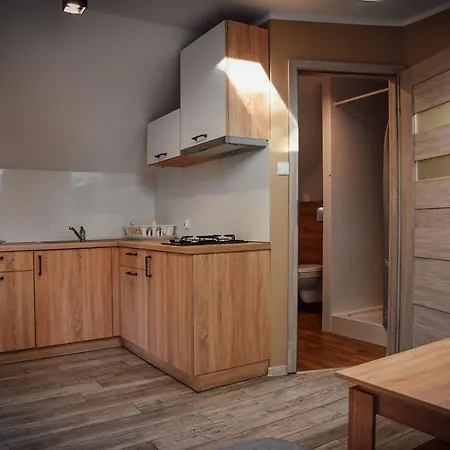 Letniskowy Szwed-pol Дом отдыха *