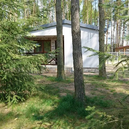 Letniskowy Szwed-pol