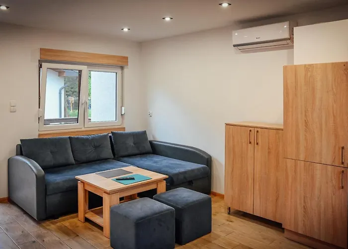 Letniskowy Szwed-pol בית נופש *