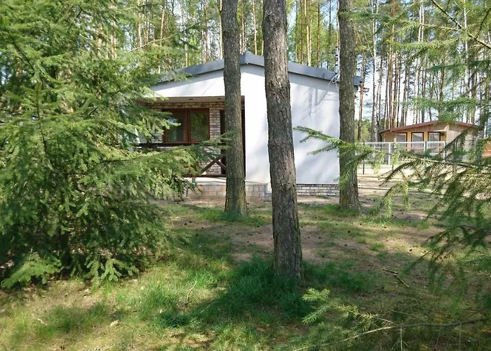 Letniskowy Szwed-pol